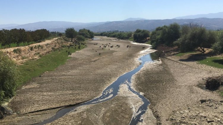 Büyük Menderes Nehri’ndeki su seviyesi sevindirdi