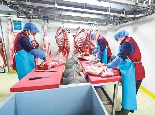 Büyükşehir büyük zararda!