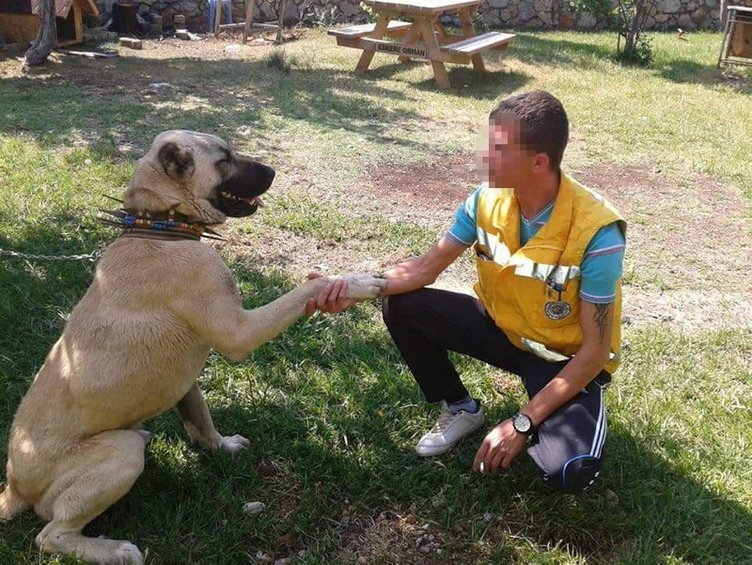 Denizli’de köpek çiftliğindeki vahşi cinayette yeni gelişme