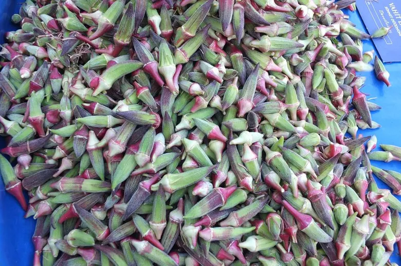 pazarda-fiyati-goren-sasiriyor-ureticinin-yuzu-guluyor-1788436832475.png