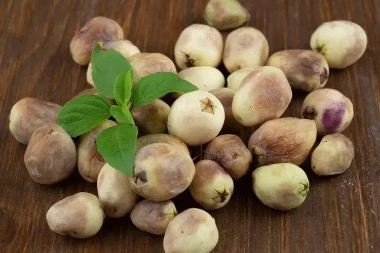 Hambales Murt neye iyi gelir? Faydaları nelerdir?