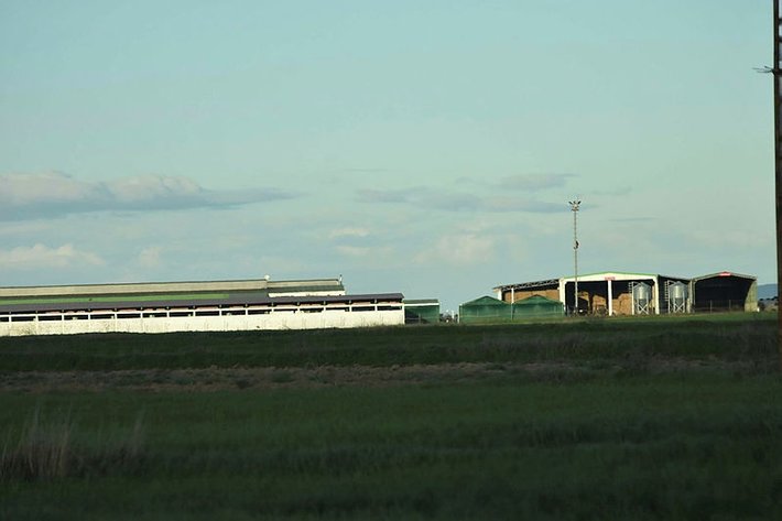 Çiftlik Bank Yönetim Kurulu üyesi İstanbul’da yakalandı