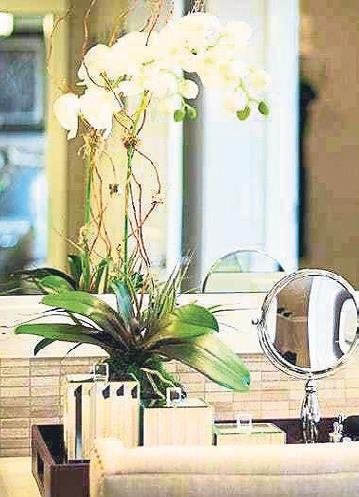 Banyom da yeşillensin diyenlere