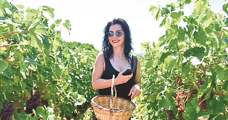 Ünlülerden bağ bozumu