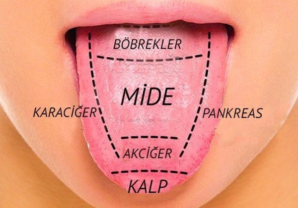 Dil temizliğinin önemi ve nasıl yapılması gerektiğini biliyor muydunuz? Dil hakkında hiç bilmediğiniz gerçekler...