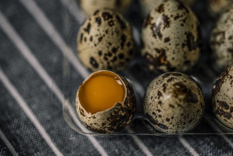 Protein deposu bıldırcın yumurtası hangi hastalıklara ve neye iyi gelir?