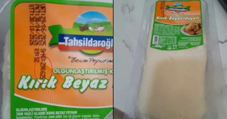 tahsildaroglu-peynirde-listeria-bakterisi-tespit-edildi-1784884388023.jpeg