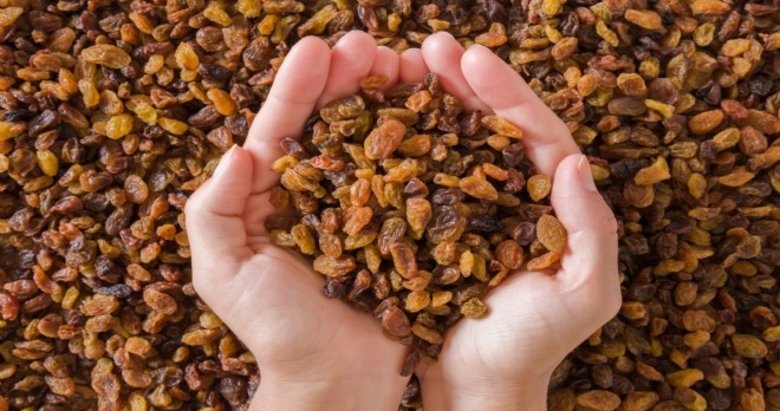 Üretimde dünyanın lideri olan çekirdeksiz kuru üzümün ihracatı 333 milyon dolara yükseldi