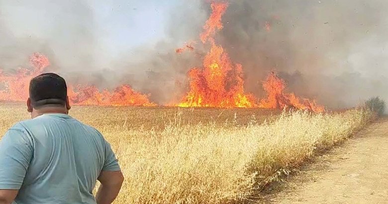 Manisa’da buğday tarlası yanıyor