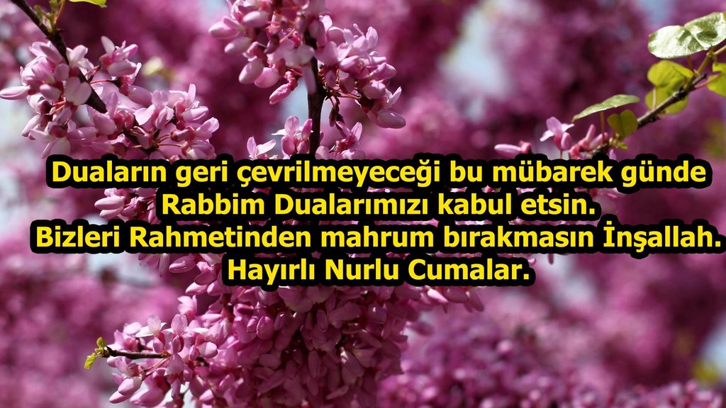 Hayirli Cumalar Resimli Duali Cuma Mesajlari