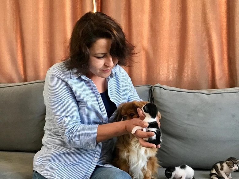 İzmir’de Mira isimli köpek kedi yavrularına annelik yapıyor