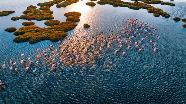 Tarihi Yeniden Yazıyor: İzmir’in 5 Büyüleyici Noktası Dünya Mirası Yolunda!