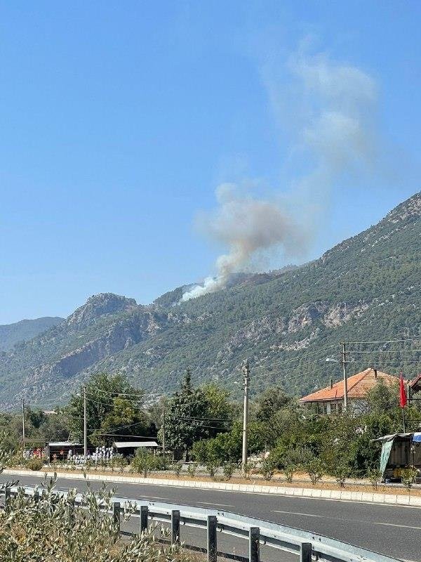 Yangın kabusu Ege'de! Köyceğiz de yanıyor