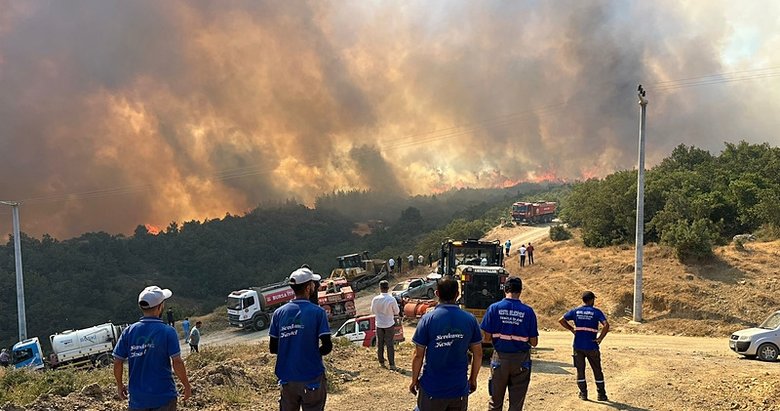 Bursa’da büyük orman yangını
