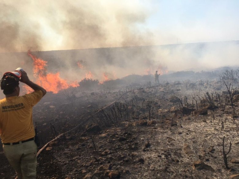 Makilik alanda başlayan yangın, yazlık evlere 100 metre kala söndürüldü
