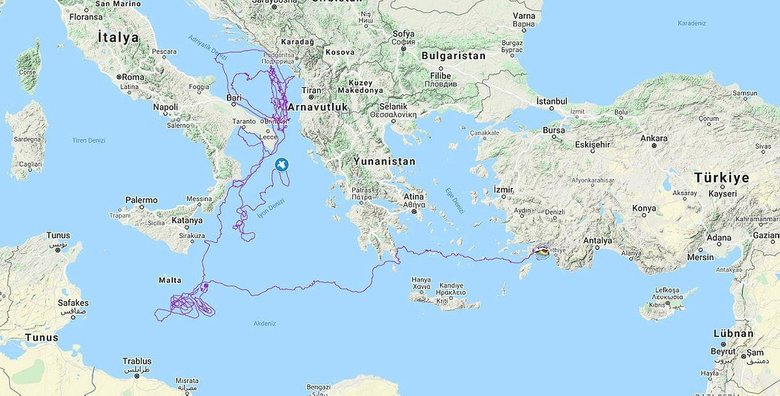 Gezgin caretta Tuba! Dolaşmadığı yer kalmadı... Yaklaşık iki yılda 10 bin kilometre yol aldı