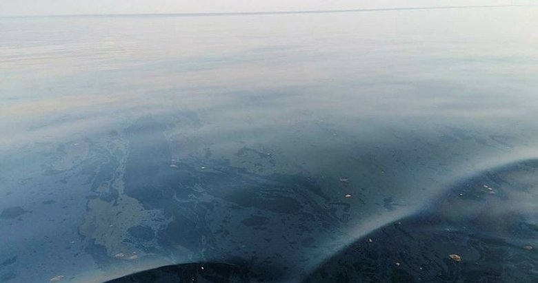 Foça’da denizde paniğe neden olan kirlilik