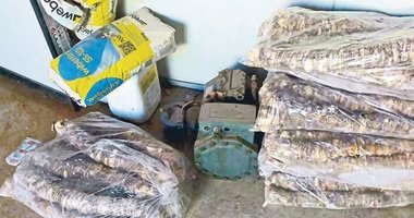 Denetimlerde bozuk kokoreçler imha edildi!