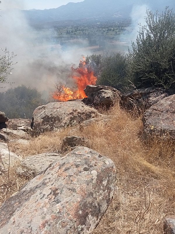 Nazillili Neron yakalandı