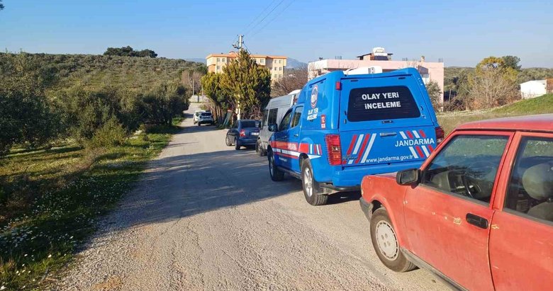 İzmir’de bir eve uyuşturucu operasyonu: 102 kök kenevir ele geçirildi