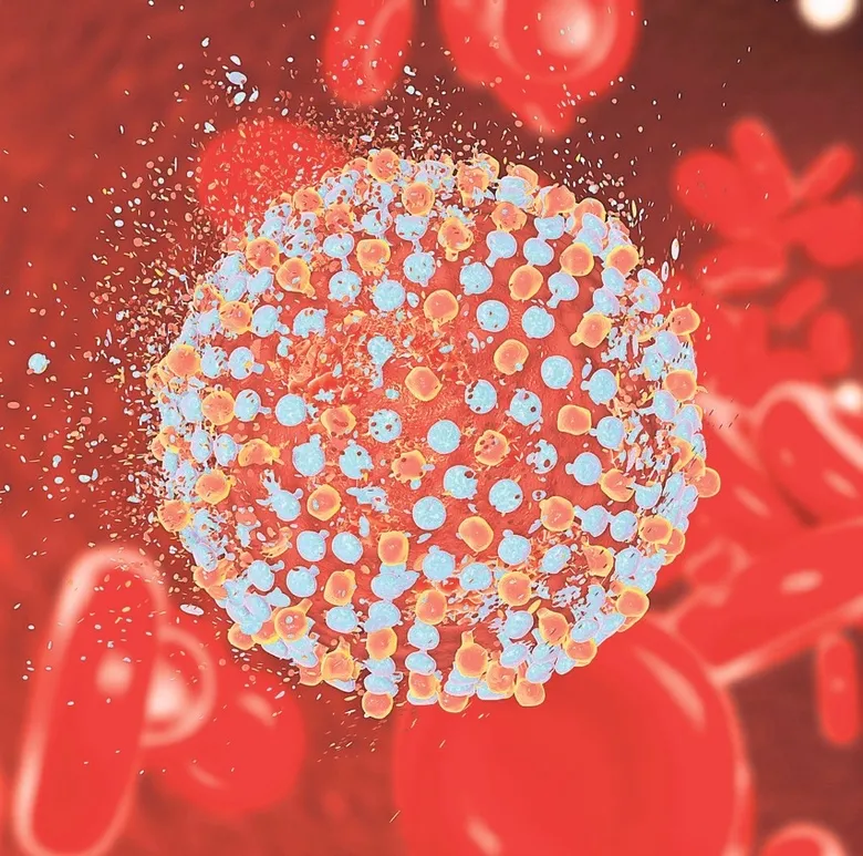 hepatit-c-icin-hayati-uyari-1785182735159.jpeg