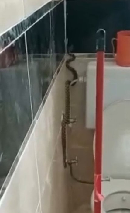 Yüzünü yıkamak için banyoya girdi hayatının şokunu yaşadı