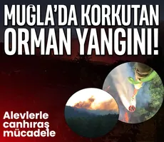 Muğla’da korkutan orman yangını! Ekiplerin müdahalesi sürüyor...