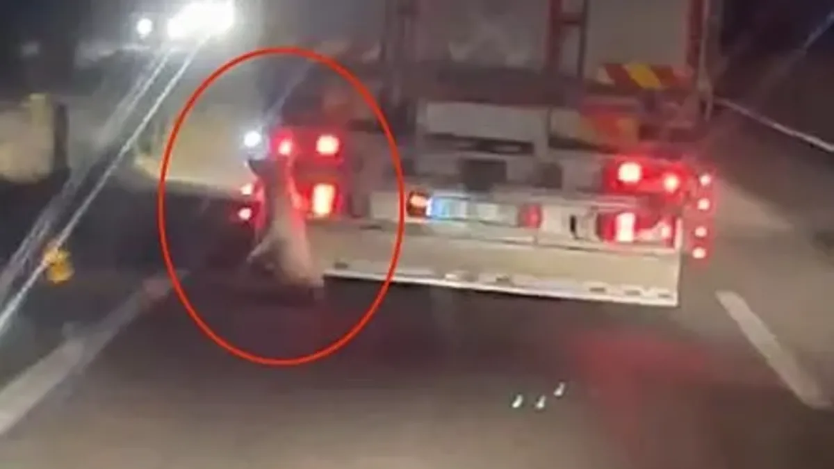 Denizli'de Kamyonet Arkasında Sürüklenen Köpek Görüntüleri Kameraya Yansıdı