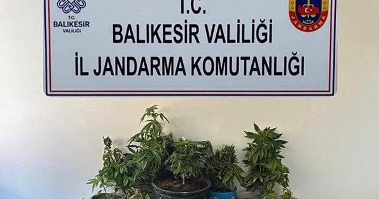 Zehir tacirlerine geçit verilmiyor