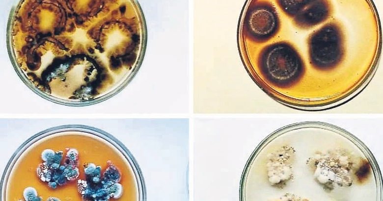 Çernobil’in siyah mantarları astronotlara kalkan olabilir