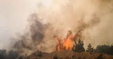 Balıkesir’deki yangında son durum!