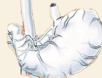Benzediği organa fayda sağlayan besinler