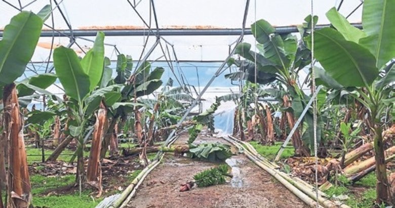 Selden etkilenen üreticilere hasar ödemesi yapılacak