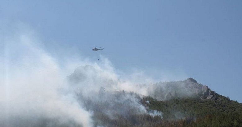 Aydın’da yıldırım düştü, 3 hektarlık ormanlık alan yandı