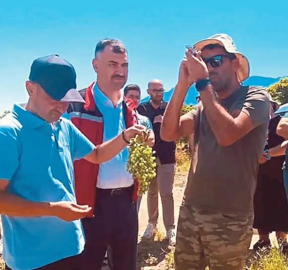 Manisa’da üzüm rekoltesine özel bilimsel çalışma