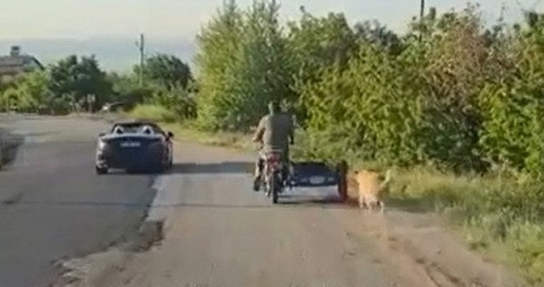 Manisa’da vicdansız sürücü köpeği metrelerce sürükledi