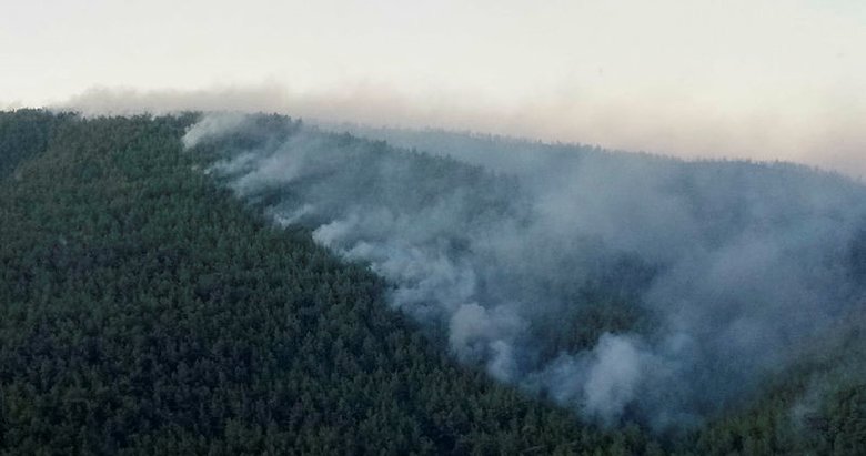 Muğla’daki orman yangınları kısmen kontrol altına alındı