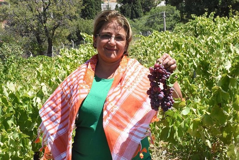 İzmir’de yetişiyor: Özellikleriyle dikkat çekiyor! Sıcaklar bastırınca bu yıl erken hasat edilecek