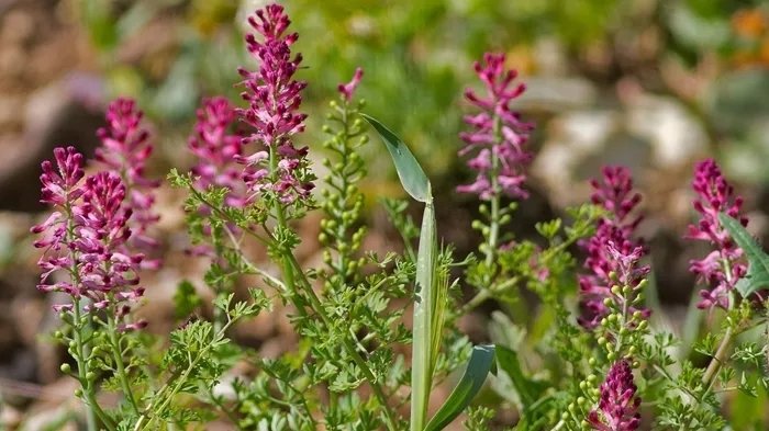 Tuvalete çıkmaya zorlanıyor musunuz? İşte size çözümü