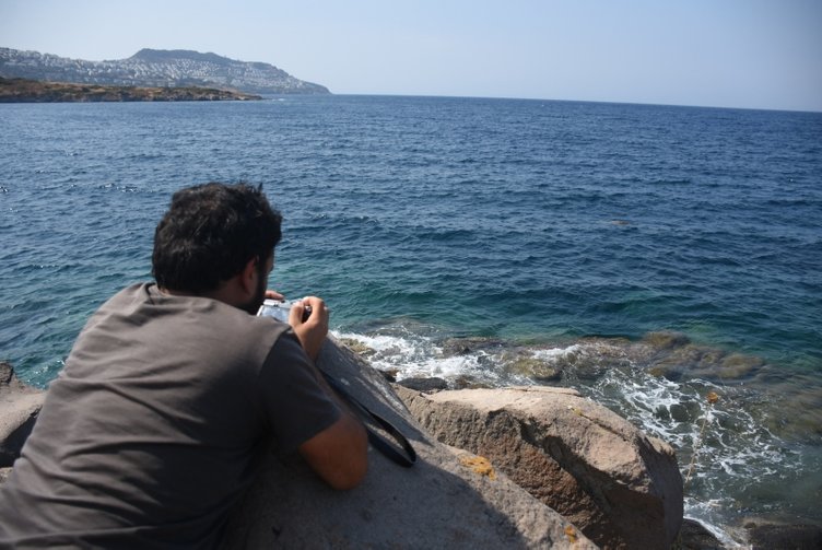 Bodrum’da yaralı fok ihbarı ekipleri alarma geçirdi