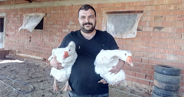 50 tane kazla başladı, şimdi paraya para demiyor