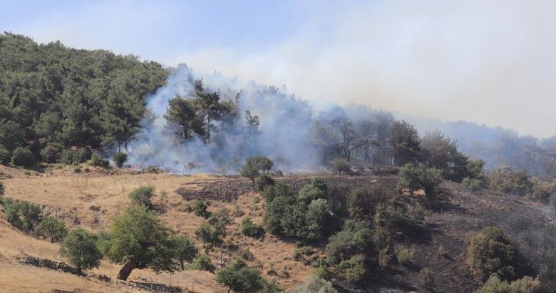 Alevler evinin bahçesine kadar geldi