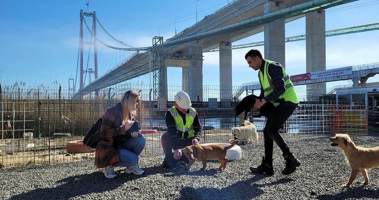 Hayvan dostu köprü! 1915 Çanakkale Köprüsü’ne can dostlar için barınak