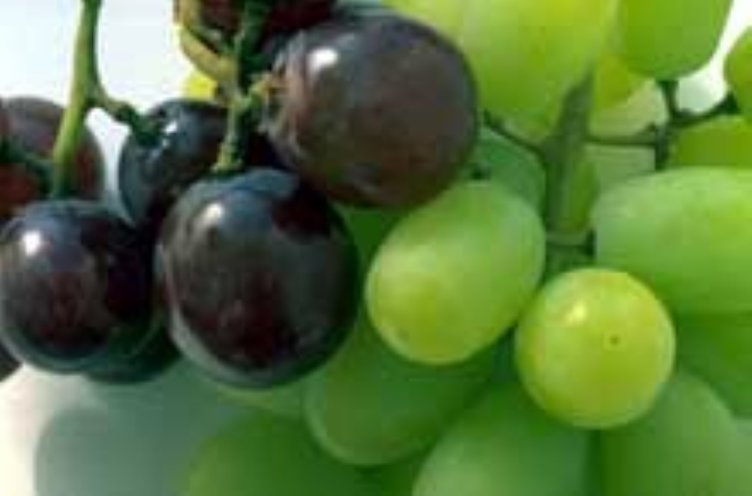 Yeşil üzümün faydaları nelerdir? Hangi hastalıklara iyi gelir?