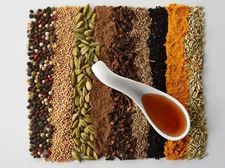 Kanuni Sultan Süleyman’ın annesi Hafsa Sultan’ın şifa kaynağı: Her gün 1 kaşık yiyin...