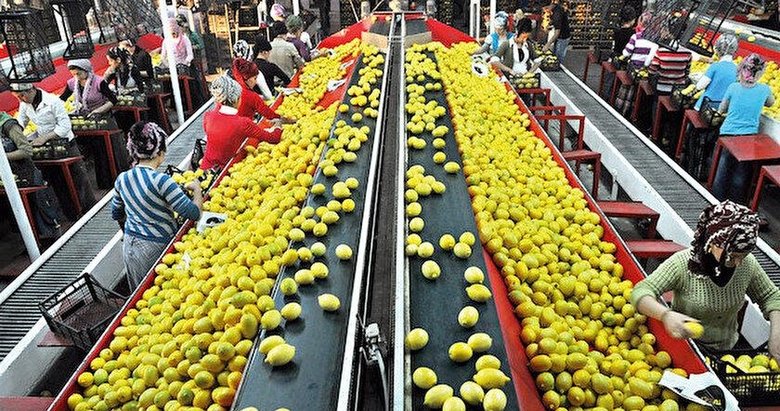 ‘Tarımda 7.2 milyar dolar dış ticaret fazlamız var’