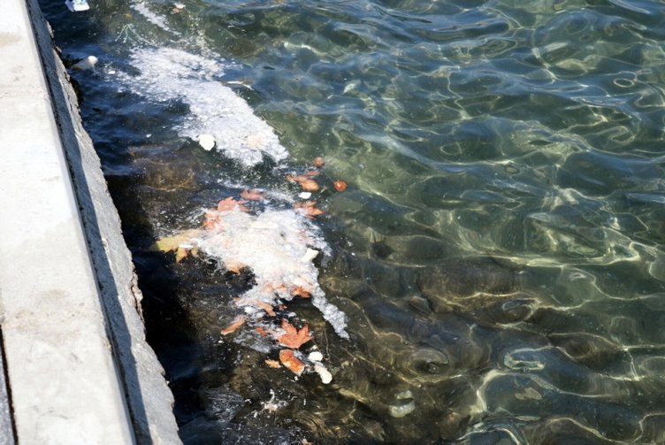 Müsilaj tekrar mı geliyor? Foça’daki deniz kirliliği endişelendirdi!