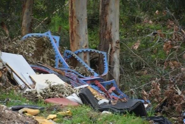 Buca’da doğa katliamı! Çevre Şehircilik Bakanlığı harekete geçti