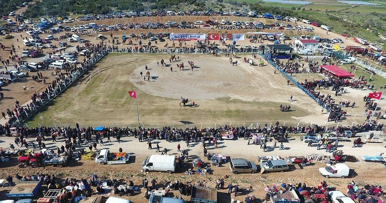 Menderes’teki deve güreşleri binleri buluştu