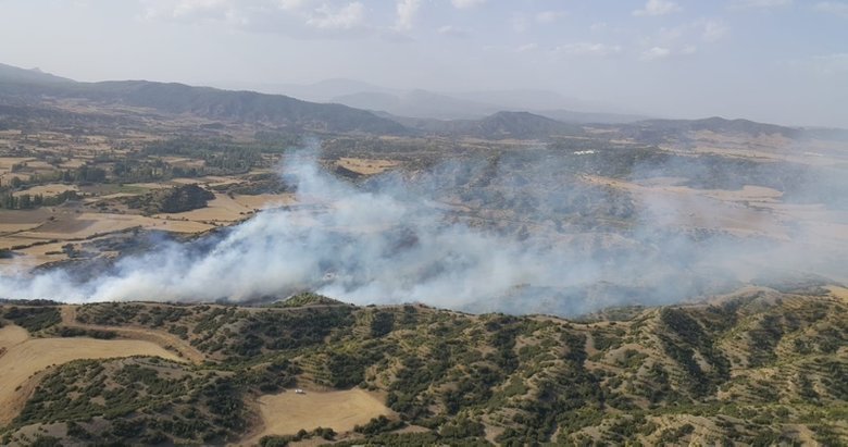 Denizli’de rüzgarın hakim olduğu ormanlık alanda yangın çıktı